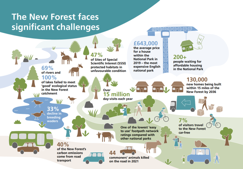 New Forest When is a National Park not a National Park Cycling UK
